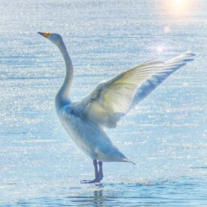 013100a2b5f9ffab0c9b0c72adeb7125