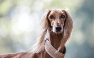 bc6a44b416e2a576d345f80e2d6e7764_convert_20180222160723