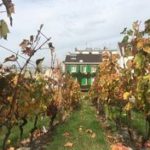 ブドウ収穫祭 in モンマルトルの丘