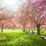 ４月のパリはHana-mi&Roten-buro