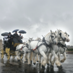 魚を積んで馬が走るレースが再び