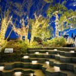 今年もやりますよ～♪２０２５年もよろしくお願いします🎍