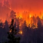 2100年には4℃もの気温上昇が！！