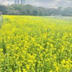 有終の美を飾った浜離宮ガイド♡