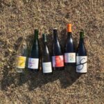 今後ますます増加?ノンアルワインの快進撃!