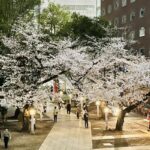 1か月も日本旅行!学校は??